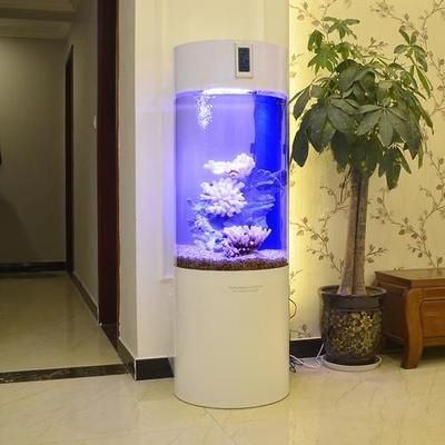 白色魚缸和黑色魚缸哪個好看：白色魚缸和黑色的魚缸哪個好看