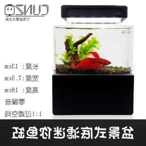 斗魚(yú)缸造景用什么底沙好用又實(shí)惠：斗魚(yú)缸造景底沙的選擇 斗魚(yú)缸造景用什么底沙好用又實(shí)惠：斗魚(yú)缸造景底沙的選擇 魚(yú)缸百科 第3張
