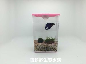 斗魚(yú)缸造景用什么底沙好用又實(shí)惠：斗魚(yú)缸造景底沙的選擇 斗魚(yú)缸造景用什么底沙好用又實(shí)惠：斗魚(yú)缸造景底沙的選擇 魚(yú)缸百科 第4張