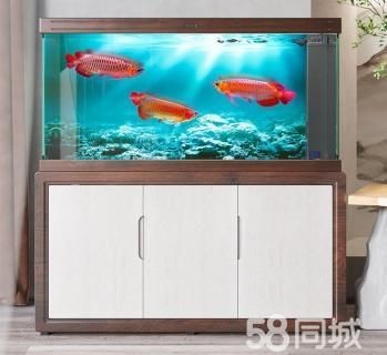 龍魚五大品牌魚缸排名
