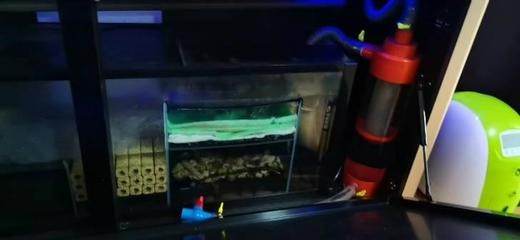 綏化市北林區(qū)三劉水族館（綏化市北林區(qū)三劉水族館電話）