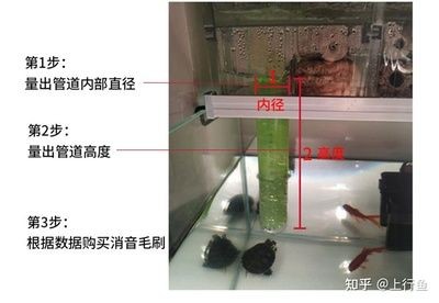 成品魚缸能切割嗎：如何自制魚缸？ 成品魚缸能切割嗎：如何自制魚缸？ 魚缸百科 第3張