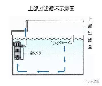 濟寧市市中區極地水族館（濟寧市市中區極地水族館電話）