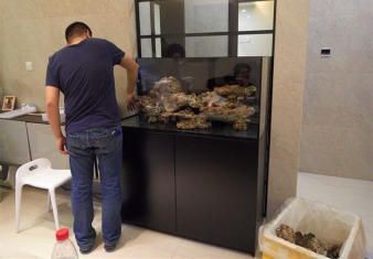 大興魚缸維護：大興地區(qū)魚缸維護服務時應注意以下信息對您有所幫助