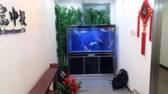 大興魚缸維護：大興地區魚缸維護服務時應注意以下信息對您有所幫助