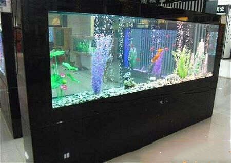 樂(lè)平市磊彪花卉水族館（樂(lè)平市磊彪花卉水族館地址）