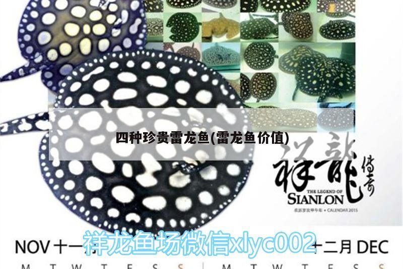 四種珍貴雷龍魚(雷龍魚價值) 四種珍貴雷龍魚(雷龍魚價值) 紅龍魚百科