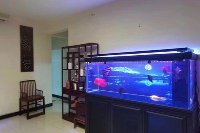 大型魚缸怎么搬運上樓梯：搬運大型魚缸的注意事項