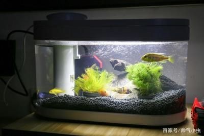 成品魚缸能不能開孔用：成品魚缸可以開孔使用嗎？