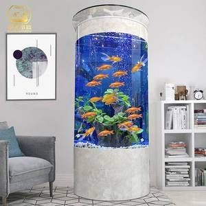 半圓形的魚缸屬于什么：半圓形魚缸是一種常見的水族箱具有獨特的形狀和風水寓意