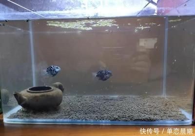 南京市雨花臺(tái)區(qū)深度水族館（南京深度潛水中心）