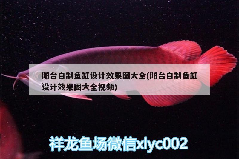 陽臺自制魚缸設計效果圖大全(陽臺自制魚缸設計效果圖大全視頻) 陽臺自制魚缸設計效果圖大全(陽臺自制魚缸設計效果圖大全視頻) 紅龍魚百科