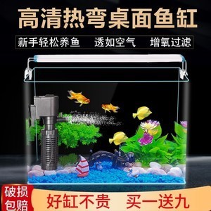 連城縣新泉新鑫水族館（連城縣新泉新鑫水族館電話）