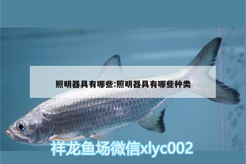 照明器具有哪些:照明器具有哪些種類 照明器具有哪些:照明器具有哪些種類 紅龍魚百科