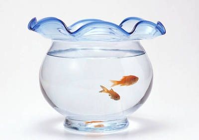 魚缸放在臥室可能會導致房間變得潮濕嗎？：放魚缸在房間內有可能導致房間變得潮濕以下是詳細的解釋
