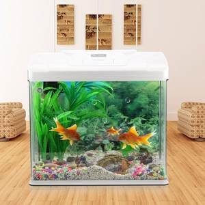 生態魚缸的選購指南：底濾魚缸的價格因尺寸、材質、品牌等因素不同的價格 生態魚缸的選購指南：底濾魚缸的價格因尺寸、材質、品牌等因素不同的價格 魚缸百科 第3張