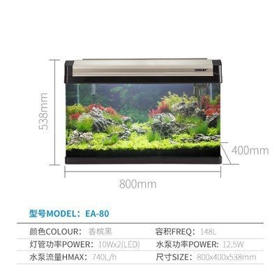 紅龍魚年齡怎么看好壞（紅龍魚年齡怎么看好壞啊）