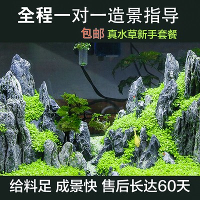 喀喇沁旗鴻運生態水族館（喀喇沁旗鴻運生態水族館電話） 喀喇沁旗鴻運生態水族館（喀喇沁旗鴻運生態水族館電話） 全國水族館企業名錄 第1張