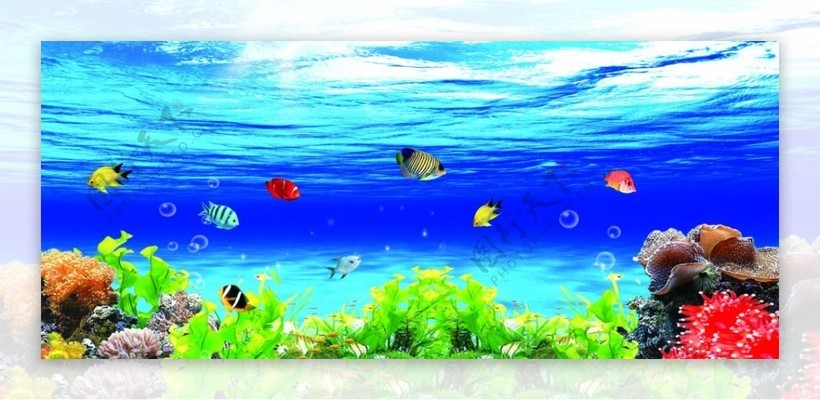 濰坊市坊子區有家水族館（濰坊市坊子區有家水族館嗎在哪）