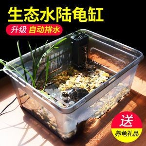 鱷龜魚缸的布置方法：鱷龜的飼養(yǎng)方法