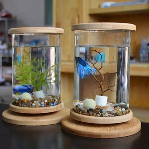 斗魚魚缸布置需要什么：養斗魚的魚缸布置不僅能夠讓斗魚有一個舒適的生活環境