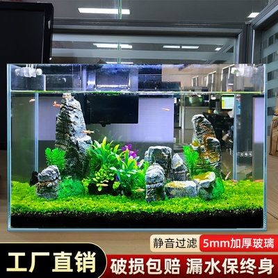 斗魚魚缸布置需要什么：養斗魚的魚缸布置不僅能夠讓斗魚有一個舒適的生活環境