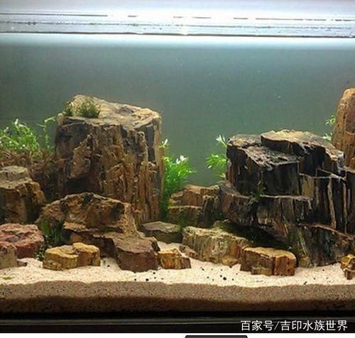 水族箱石材的選擇和養護：水族箱石材的選擇 水族箱石材的選擇和養護：水族箱石材的選擇 魚缸百科 第3張