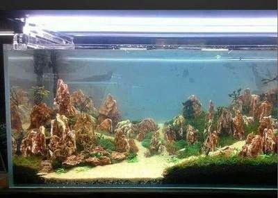 水族箱石材的選擇和養護:水族箱石材的選擇 魚缸百科 第4張 水族箱石材的選擇和養護:水族箱石材的選擇 水族箱石材的選擇和養護:水族箱石材的選擇 魚缸百科 第4張