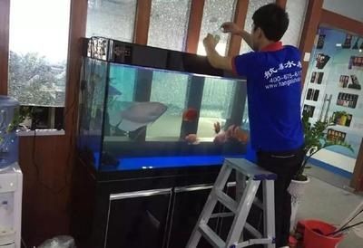 愛馬魚缸怎么樣清洗