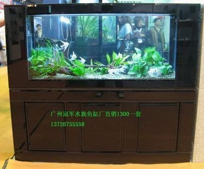 白溝哪有批發魚缸的地方呀：保定白溝哪里有批發魚缸的地方