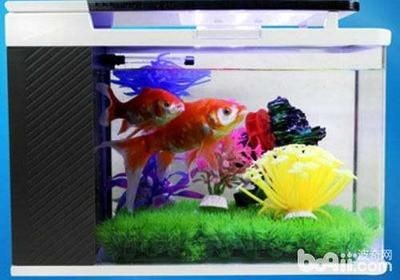 魚缸多長時間下一次鹽，海水魚缸換水后加鹽技巧