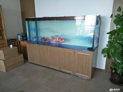 濟南魚缸定做定制，濟南魚缸定做哪家口碑好 濟南魚缸定做定制，濟南魚缸定做哪家口碑好 魚缸百科 第5張