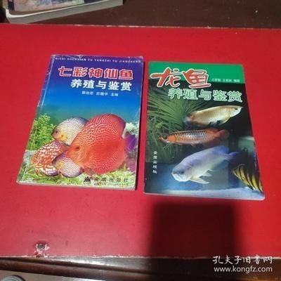 龍魚配七彩神仙好嗎怎么養的