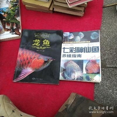 龍魚配七彩神仙好嗎怎么養的