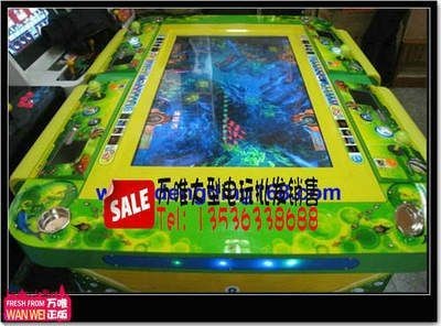 龍魚怎么訓練互動游戲