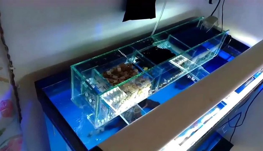 成品魚缸上濾槽太小怎么辦：如何解決成品魚缸上濾槽太小的問題