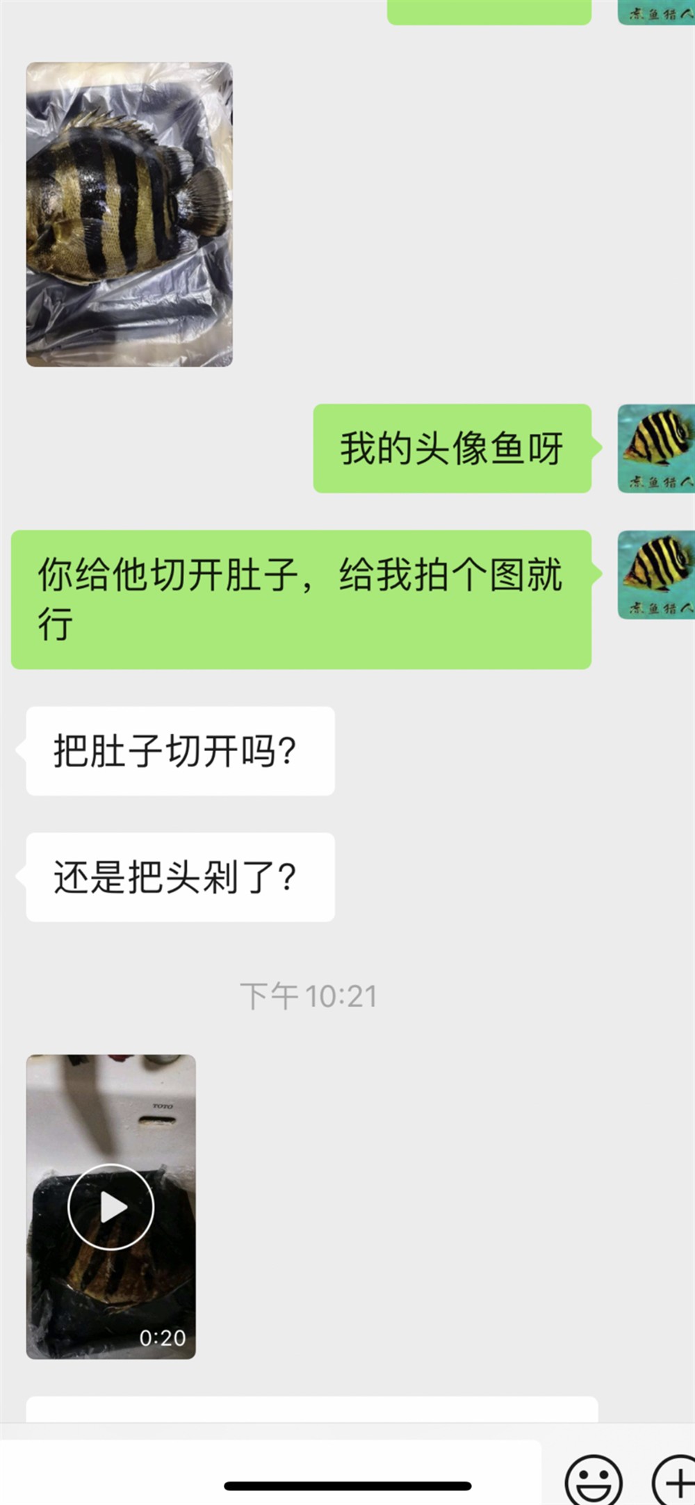 我的頂級虎王以這魚方式告別