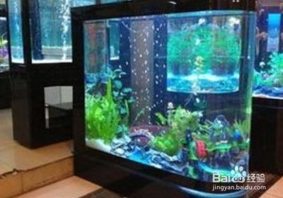 不用電魚缸水循環制作：不用電的魚缸水循環制作