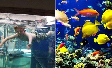 海洋生態魚缸造價標準海洋生態魚缸造價標準生態魚缸報價：海洋生態魚缸的造價標準 海洋生態魚缸造價標準海洋生態魚缸造價標準生態魚缸報價：海洋生態魚缸的造價標準 魚缸百科 第3張
