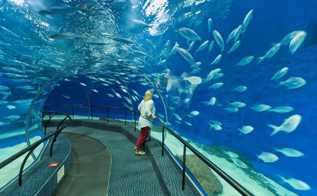 上海水族館，上海水族館內特色生物介紹上海水族館內特色生物介紹