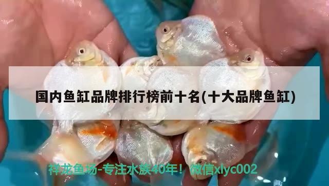 大神點評一下虎魚品相如何
