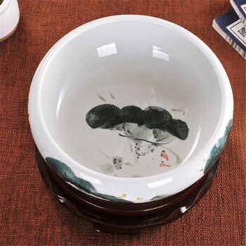 瓷器魚缸適合養什么魚：如何在陶瓷魚缸中養魚