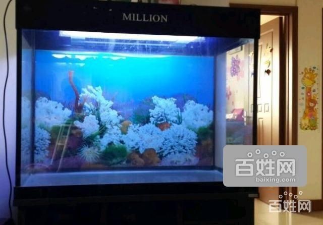 大港賣魚缸的地方有哪些：在大港地區(qū)可以找到賣魚缸的相關(guān)信息