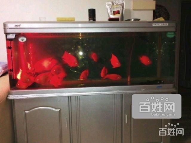 大港賣魚缸的地方有哪些：在大港地區(qū)可以找到賣魚缸的相關(guān)信息