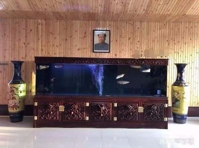 大魚缸制作視頻全過程：大魚缸制作視頻教程