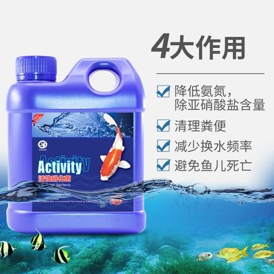 多久清理一次魚缸：魚缸清理頻率多少 多久清理一次魚缸：魚缸清理頻率多少 魚缸百科 第4張