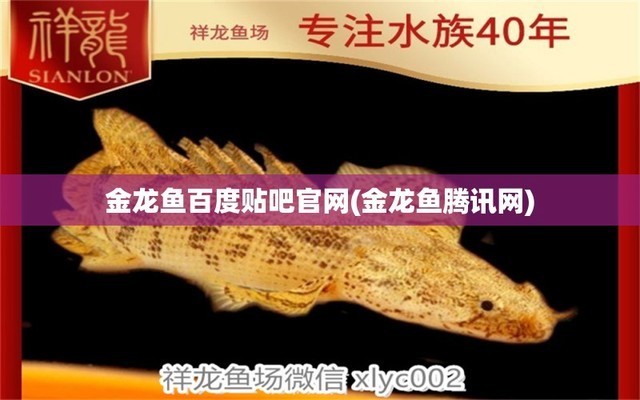 紅龍魚一年長多大正常呢視頻（紅龍魚一年長多大正常呢視頻講解）