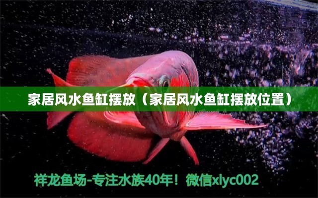 壽光市晨源水族館（壽光市晨源水族館電話）