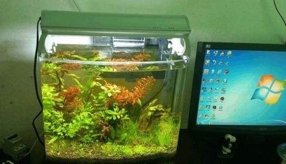 純凈水桶制作魚缸過濾器的方法：如何自制魚缸過濾器