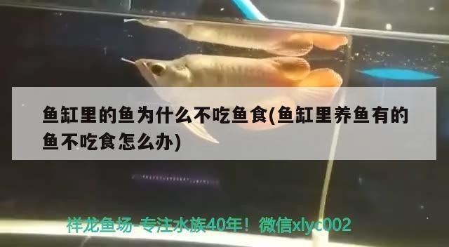 魚缸正常能用幾年，不同材質魚缸的優缺點對比魚缸玻璃膠選擇指南 魚缸正常能用幾年，不同材質魚缸的優缺點對比魚缸玻璃膠選擇指南 魚缸百科 第6張